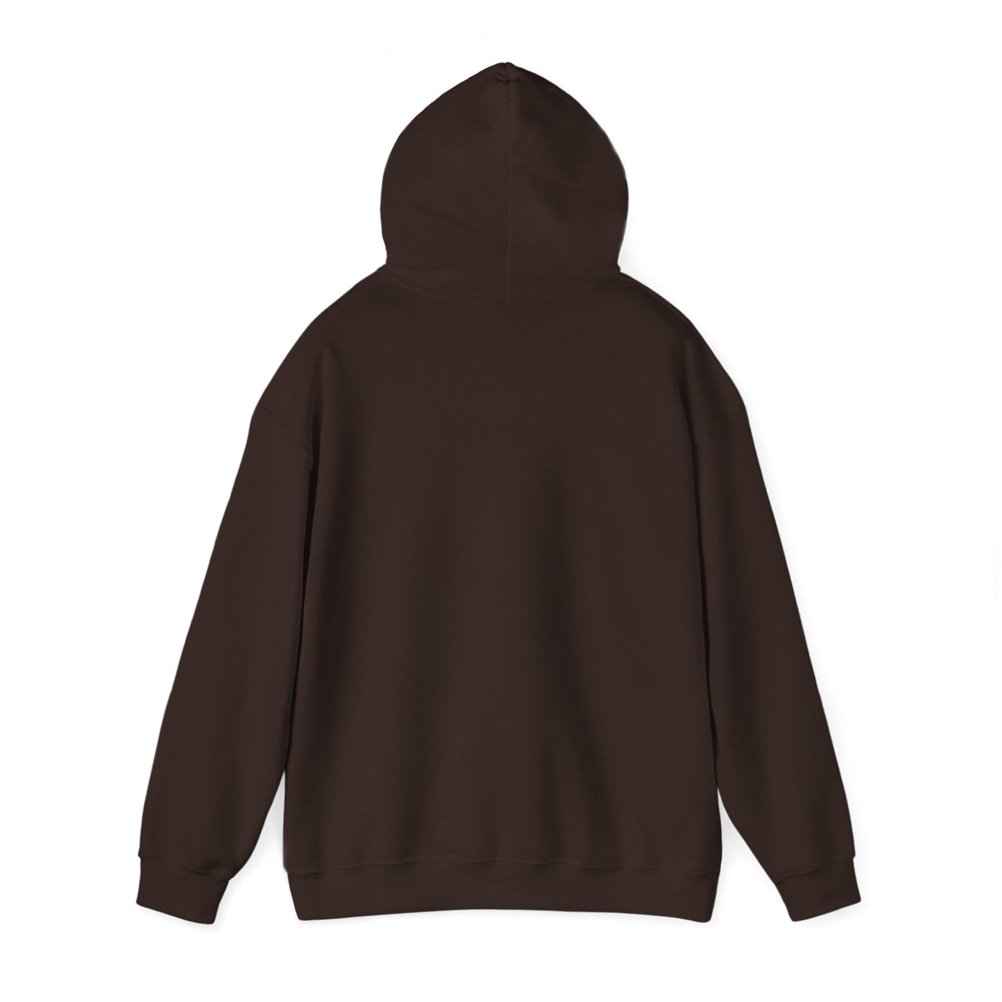 Gharana Nahi Hai Hoodie