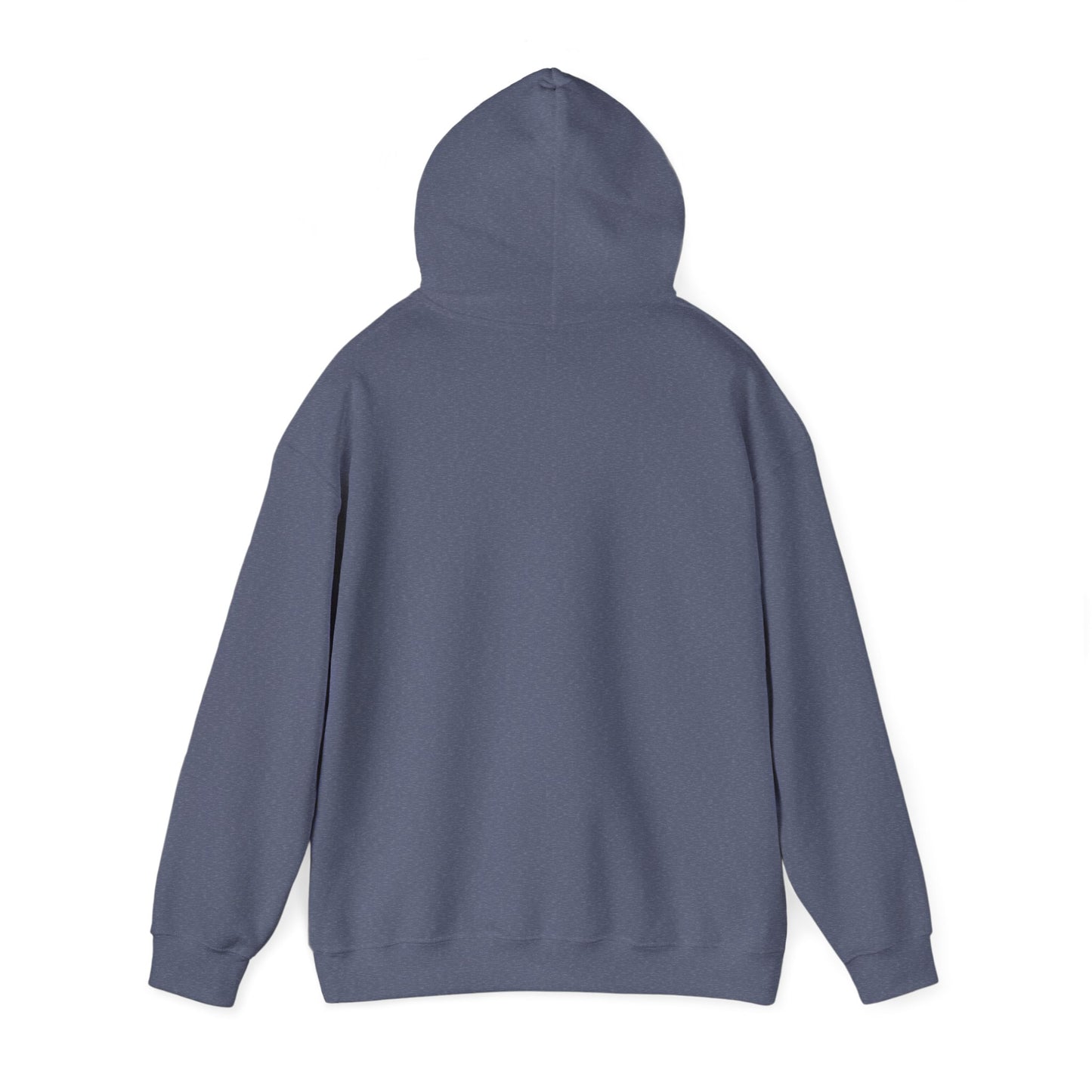 Gharana Nahi Hai Hoodie