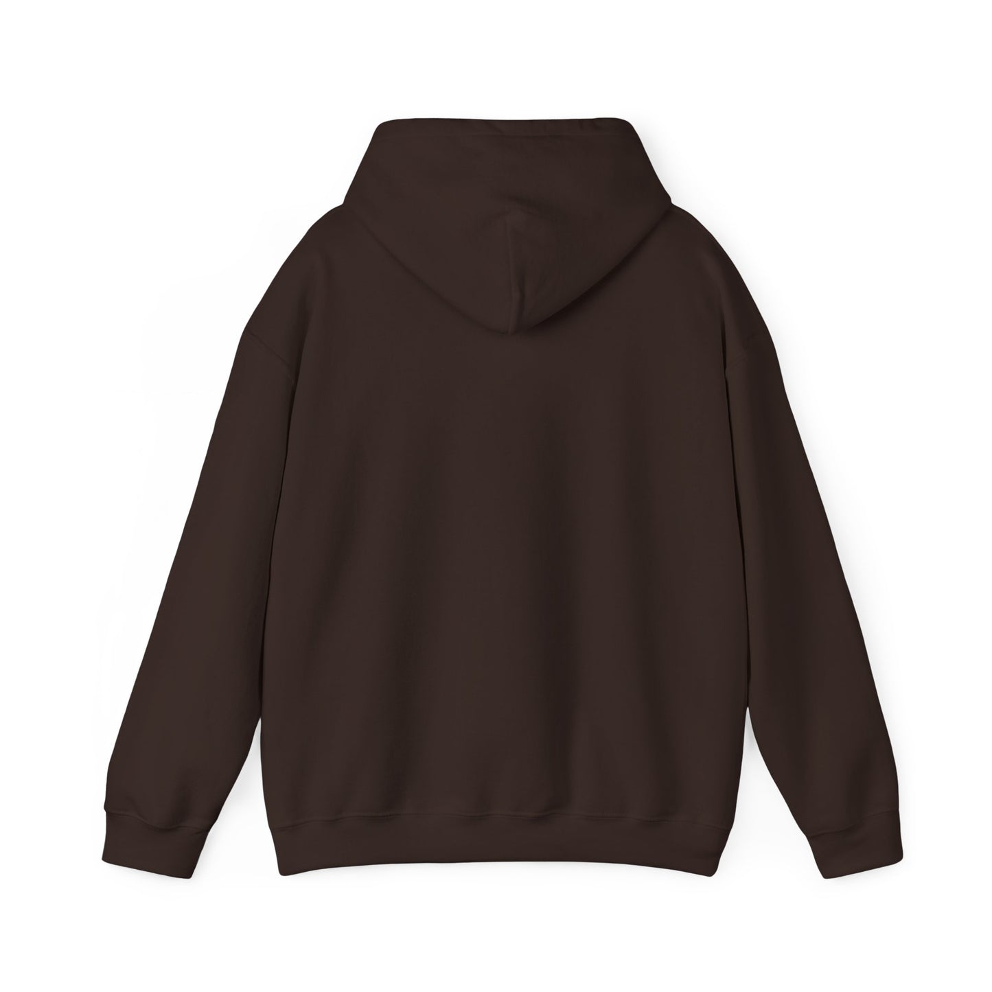 Gharana Nahi Hai Hoodie