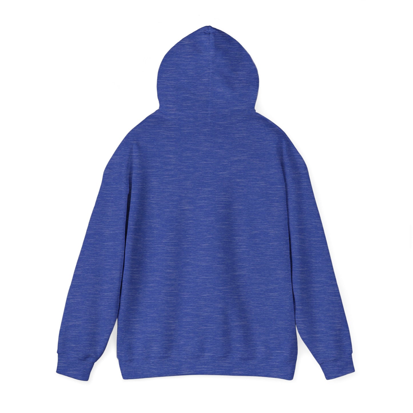 Gharana Nahi Hai Hoodie