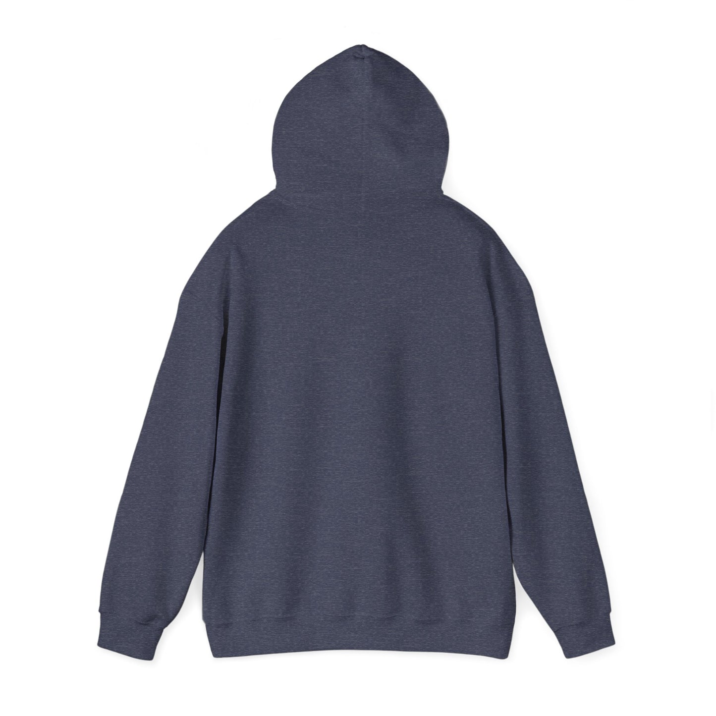 Gharana Nahi Hai Hoodie