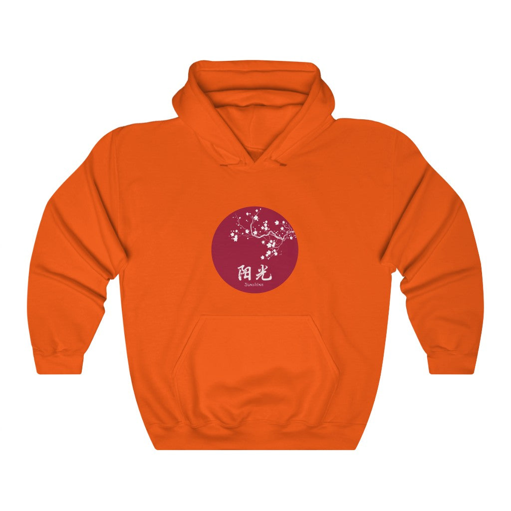 Sunshine Hooded Sweatshirt
