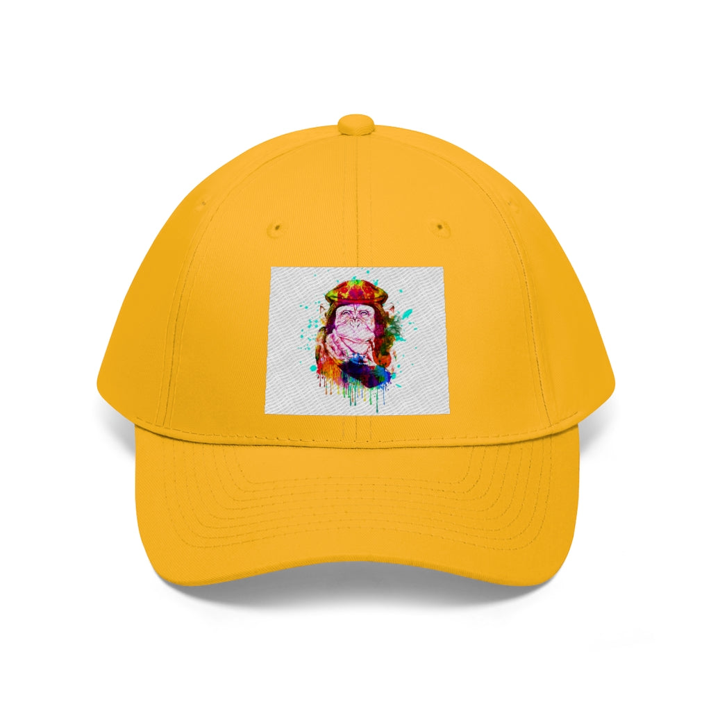 Fun Graphics Hat