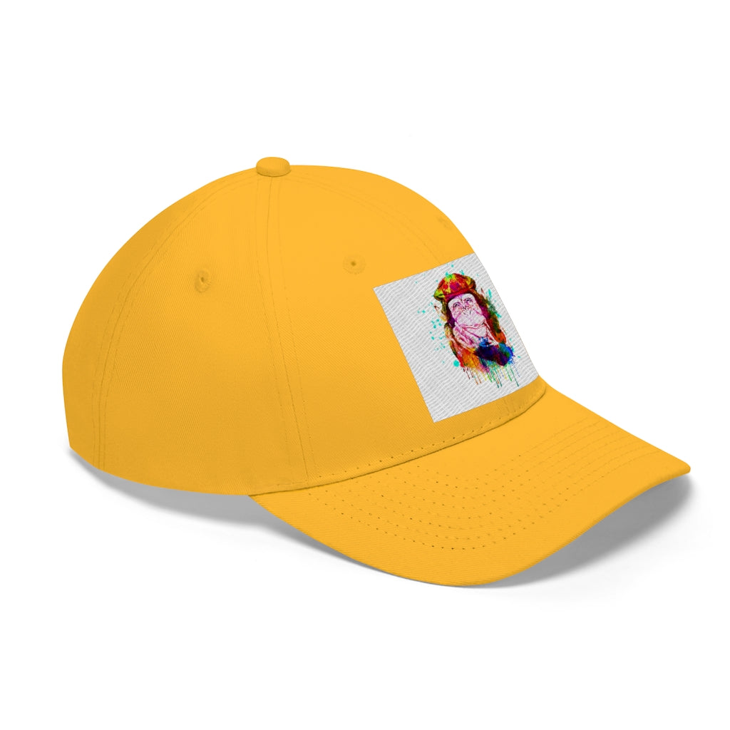 Fun Graphics Hat