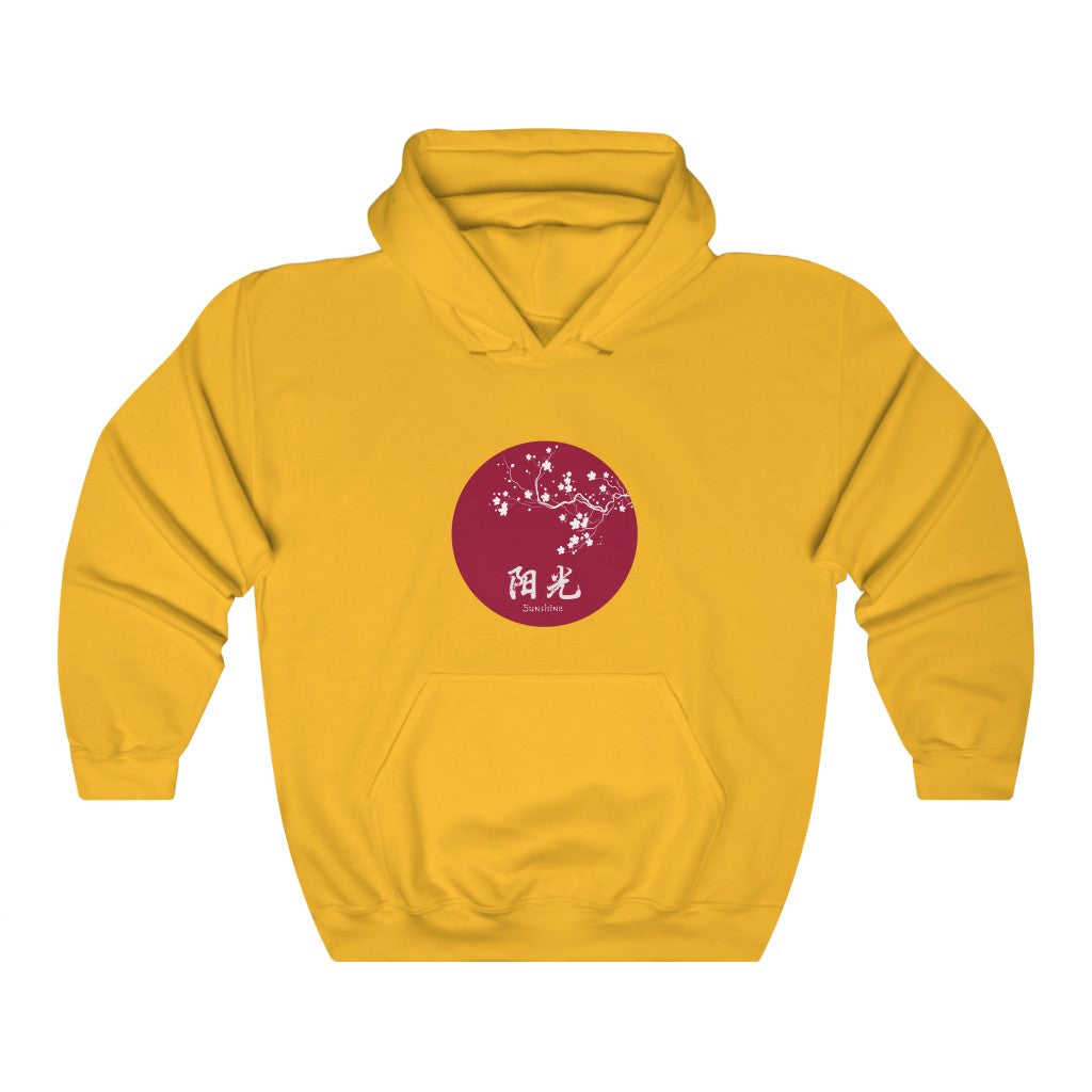 Sunshine Hooded Sweatshirt