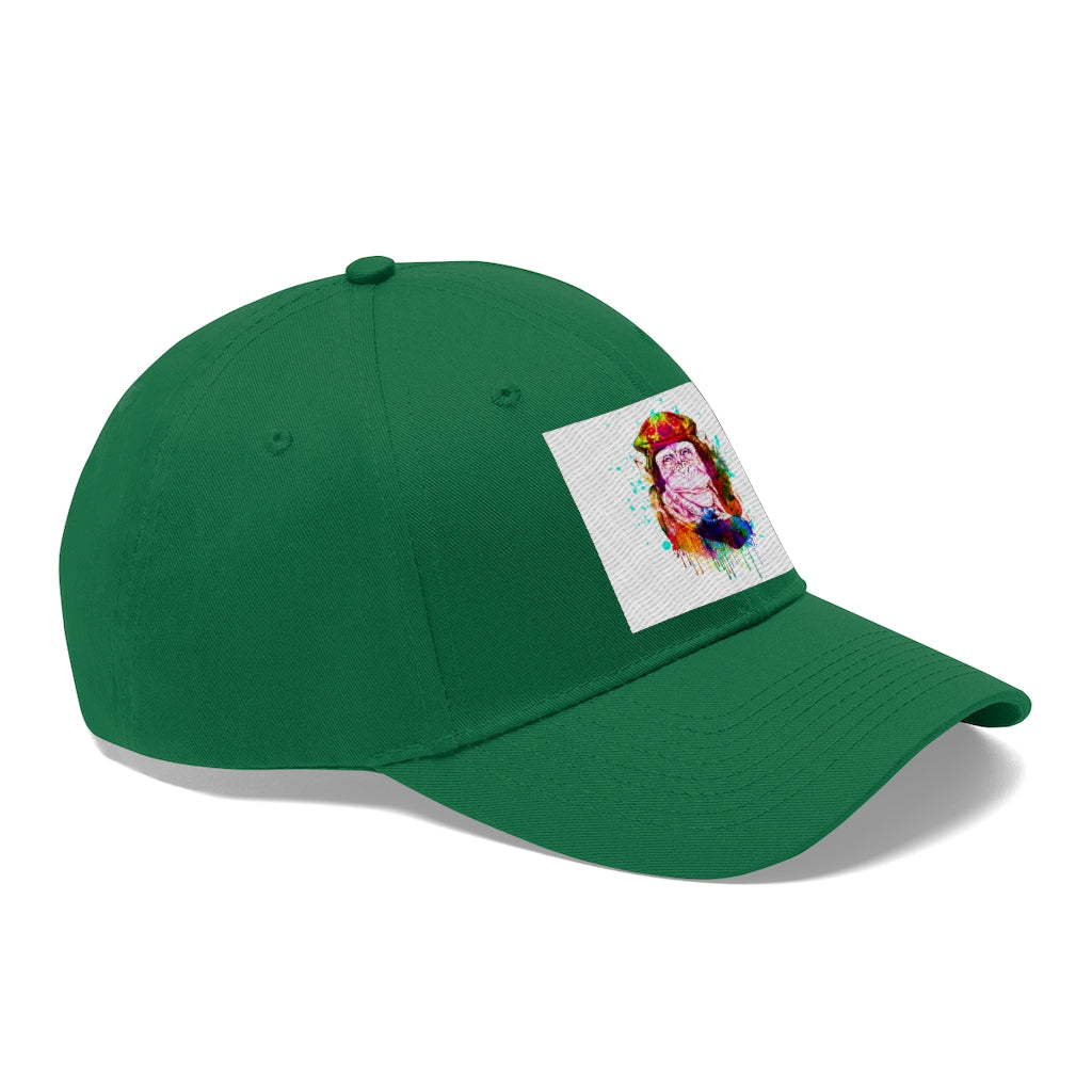 Fun Graphics Hat