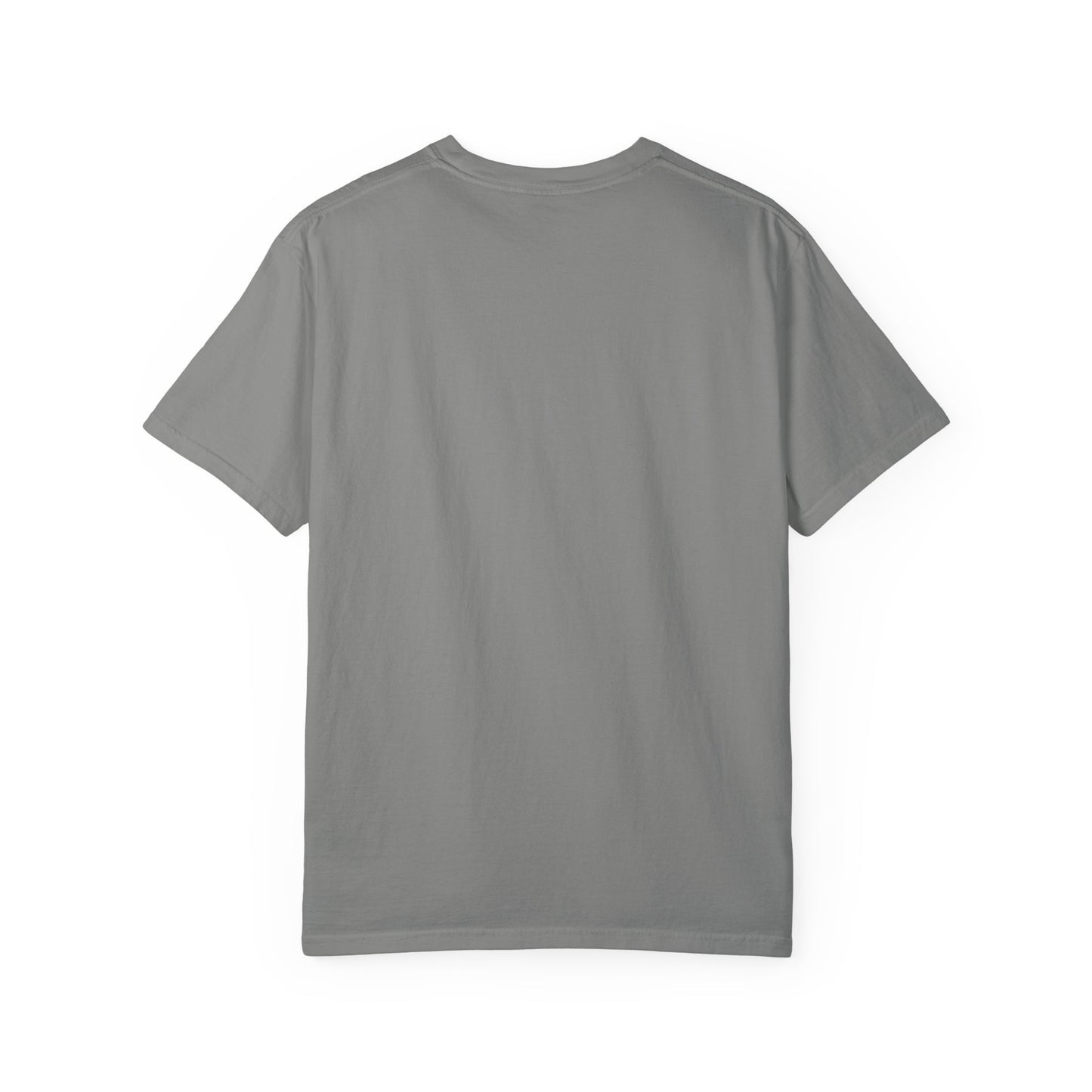 Balthi Triangle Vintage Indian Food T-Shirt