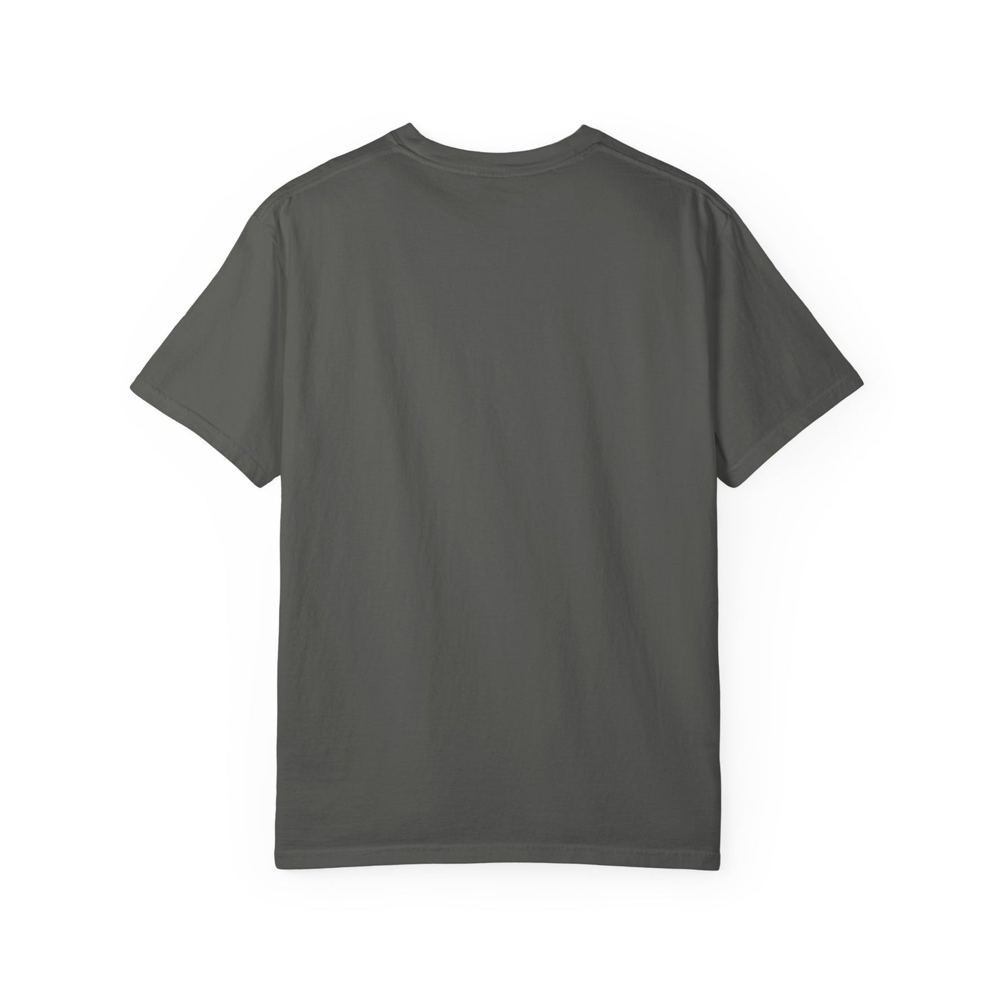 Balthi Triangle Vintage Indian Food T-Shirt