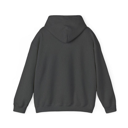 Baltimore Charm Hoodie - 'Balti Triangle' Vintage Food Poster Sweatshirt