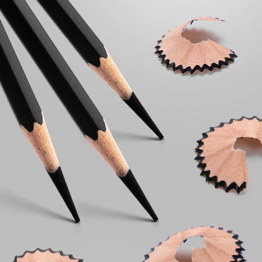 Professional 2H HB B 2B 3B 4B 6B 8B 12B 14B Sketch Drawing Graphite Charcoal Pencils Set Drawing Sketching for Artists Beginners