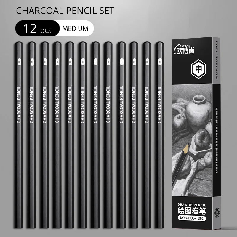 Professional 2H HB B 2B 3B 4B 6B 8B 12B 14B Sketch Drawing Graphite Charcoal Pencils Set Drawing Sketching for Artists Beginners