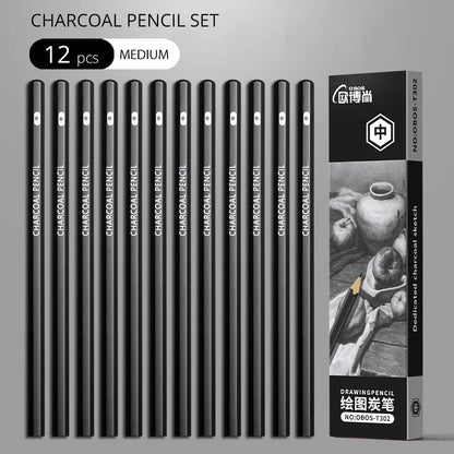 Professional 2H HB B 2B 3B 4B 6B 8B 12B 14B Sketch Drawing Graphite Charcoal Pencils Set Drawing Sketching for Artists Beginners