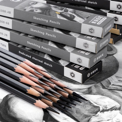 Professional 2H HB B 2B 3B 4B 6B 8B 12B 14B Sketch Drawing Graphite Charcoal Pencils Set Drawing Sketching for Artists Beginners